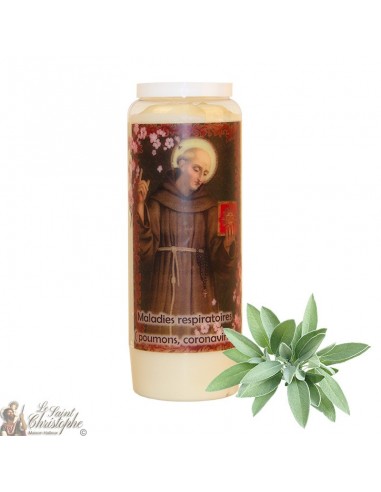 Novena candle Saint Bernardine of Siena scented with sage